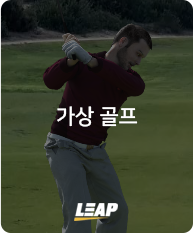 가상 골프